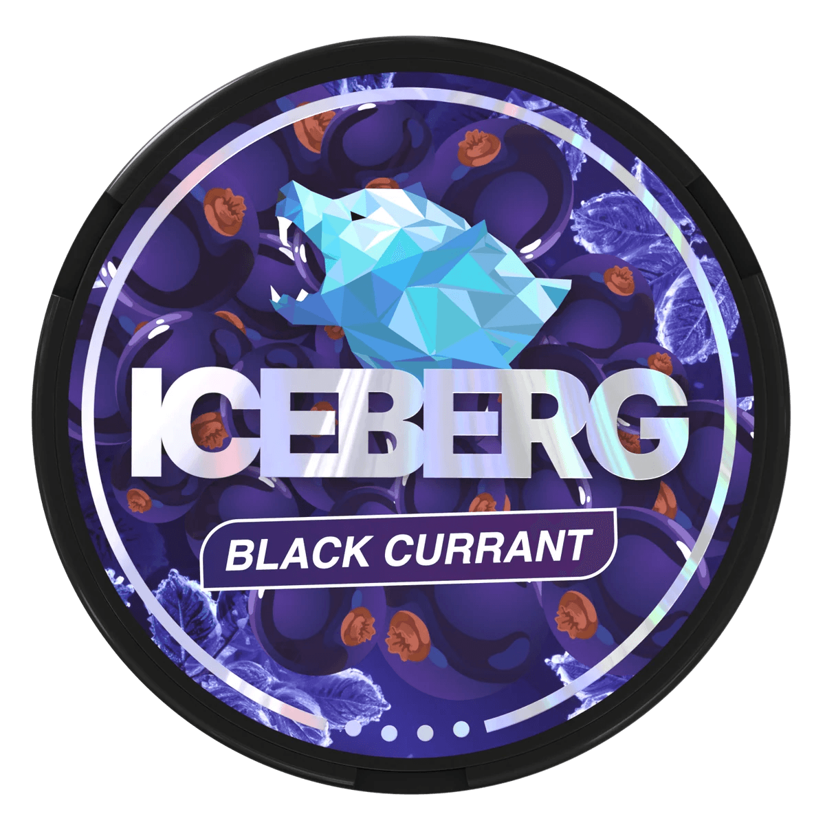 Iceberg